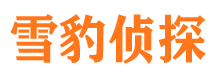 应城捉小三公司